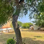 Paola's Garden *