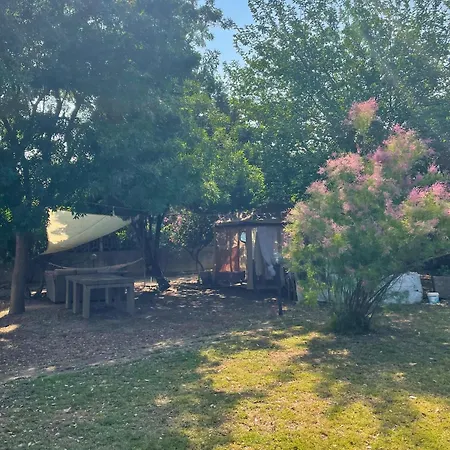 Paola's Garden