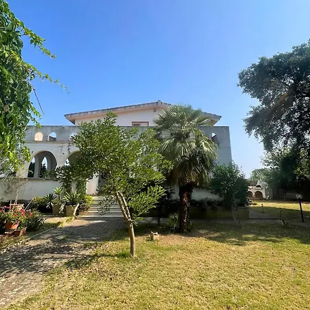 Paola's Garden